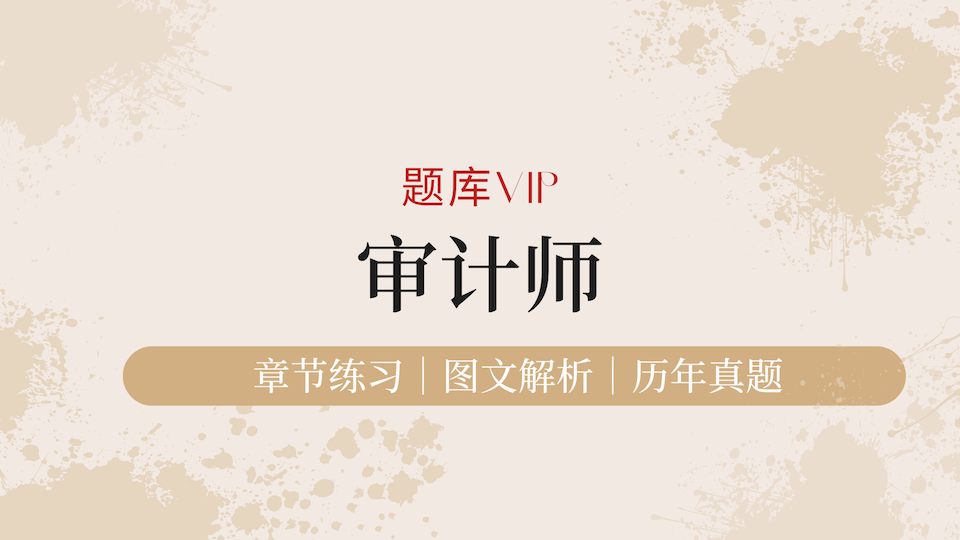 审计师 题库VIP
